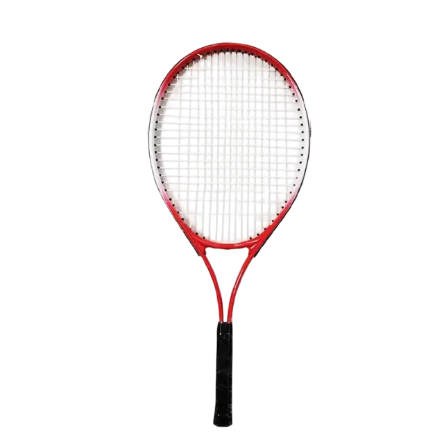 Demoprodukt -  Babolat Evo Drive Tour
